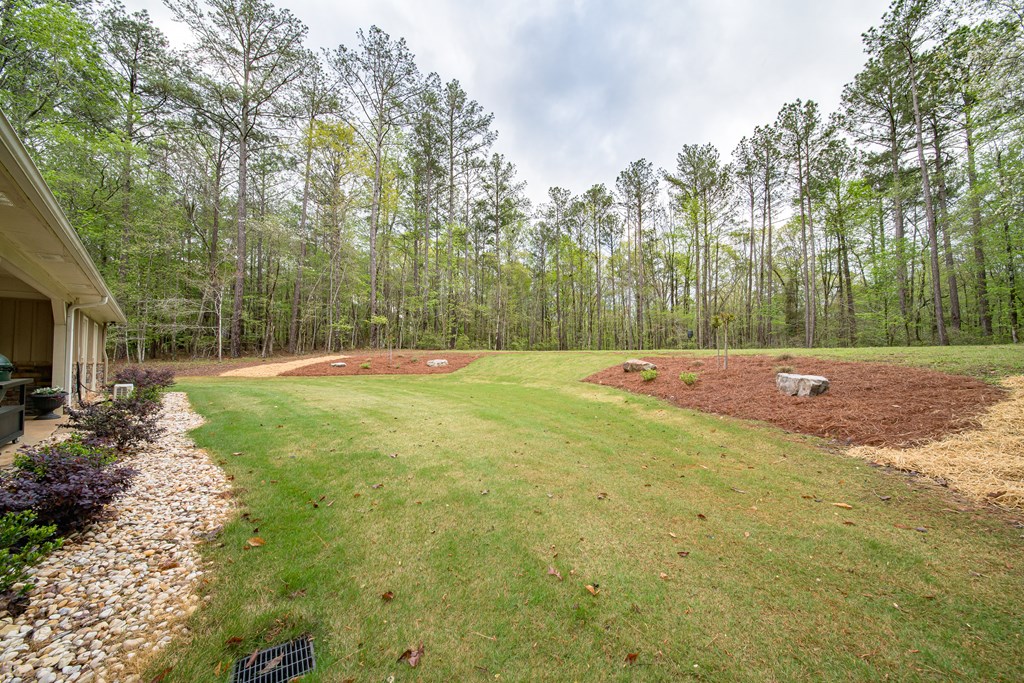 1670 Fortune Hole Road East Hamilton, GA 31811 - Photo 26 of 57 Gallery Image 26