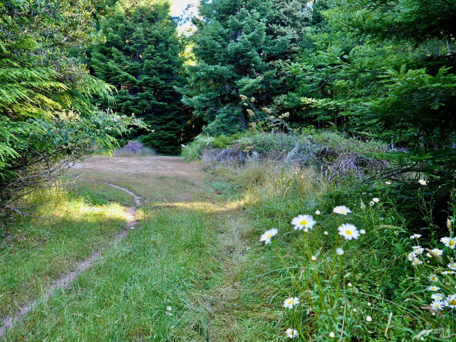 19130 Dorffi Road Fort Bragg, CA 95437 - Photo 7 of 10 Dorffi