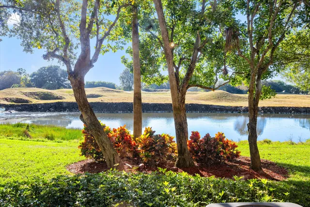 a view of a lake view with a tree