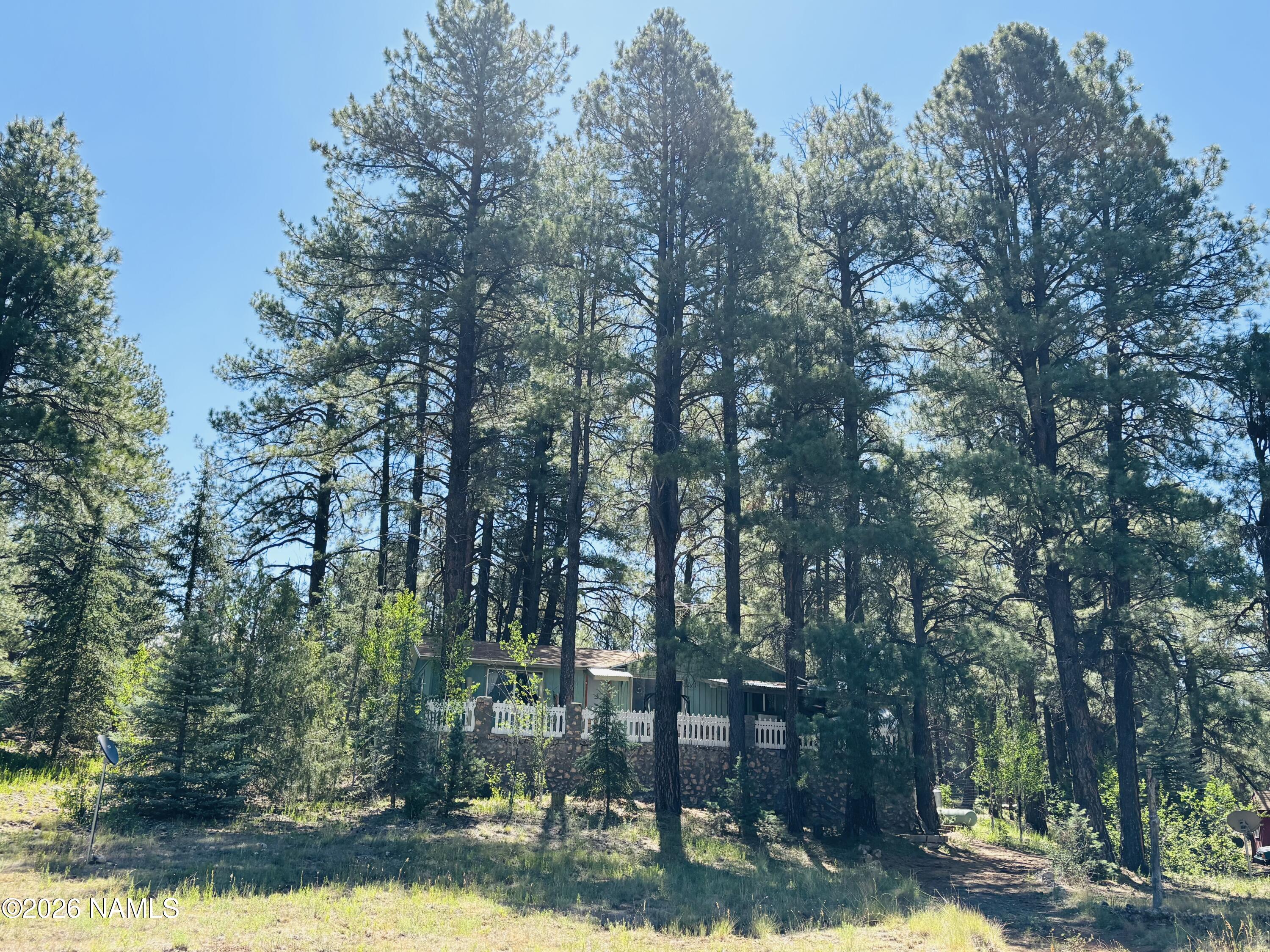 5577 Antelope Road Flagstaff, AZ 86005 - Photo 30 of 30 IMG_5921 (1)
