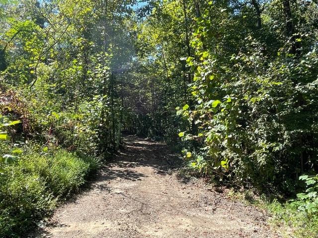5756 Rumfelt Road Stanley, NC 28164 - Photo 3 of 5 a view of a forest with trees
