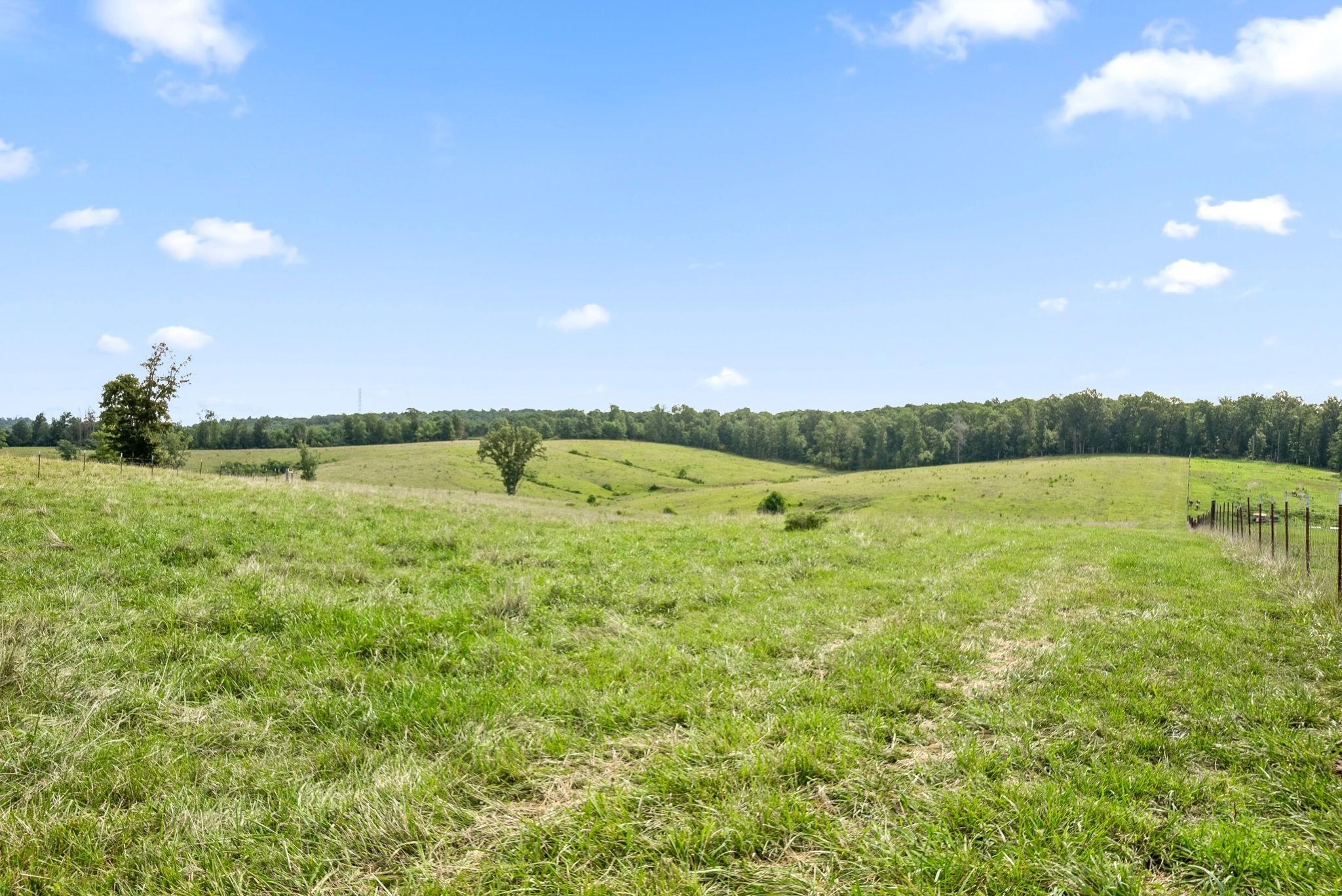 7 Brigham Branch Road Erin, TN 37061 - Photo 1 of 47 a view of a lake with houses in the back