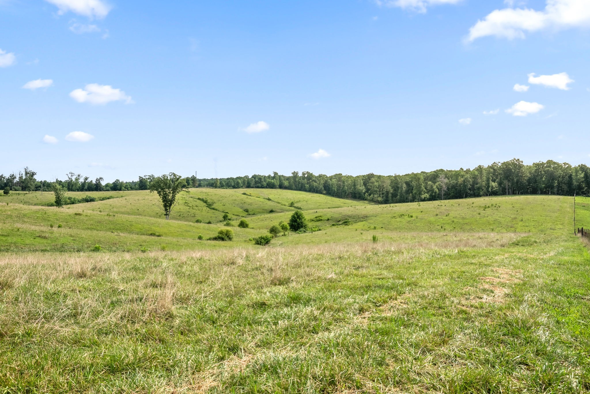 7 Brigham Branch Road Erin, TN 37061 - Photo 11 of 47 a view of a field with an ocean view