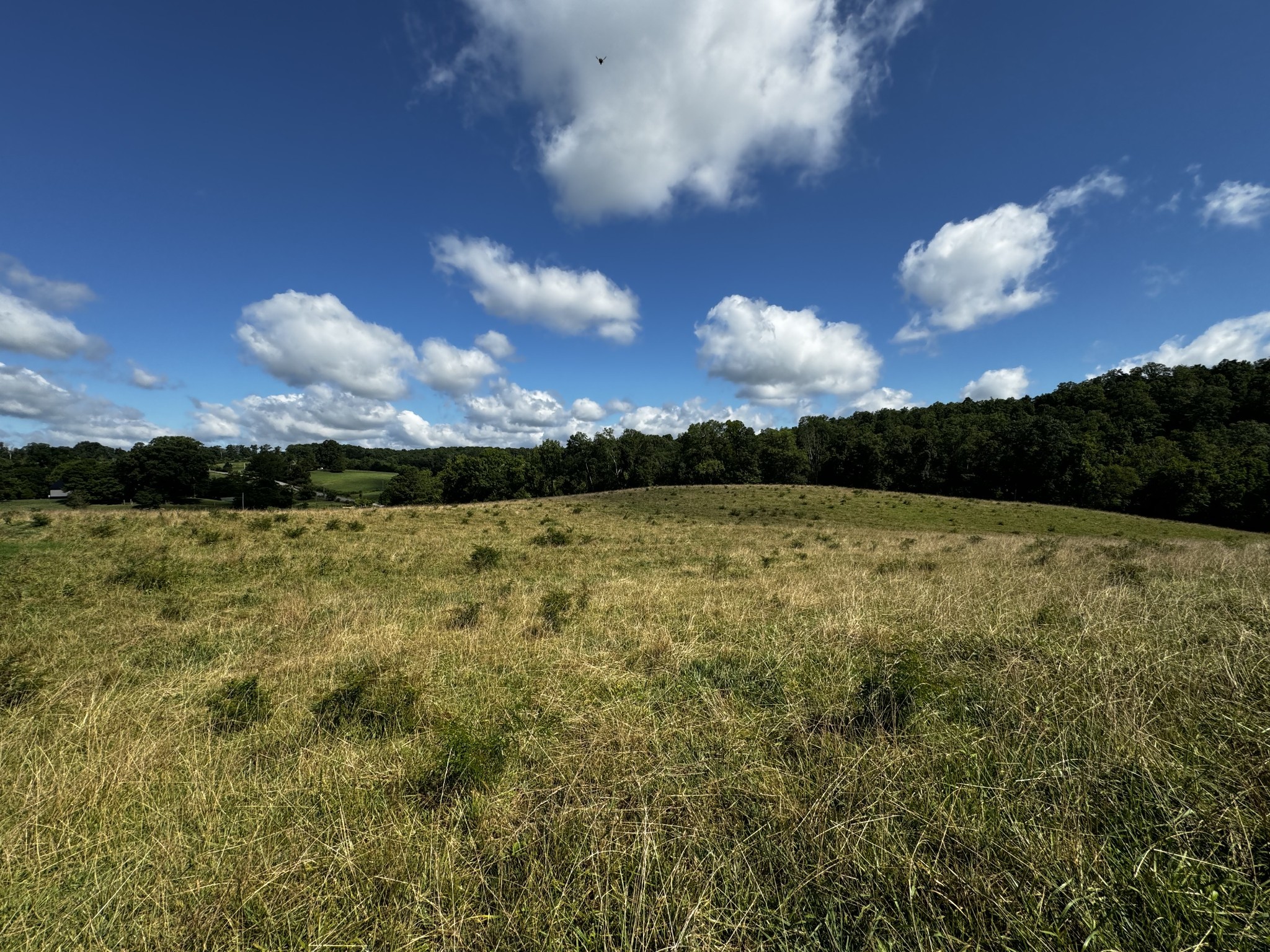7 Brigham Branch Road Erin, TN 37061 - Photo 15 of 47 a view of a lake