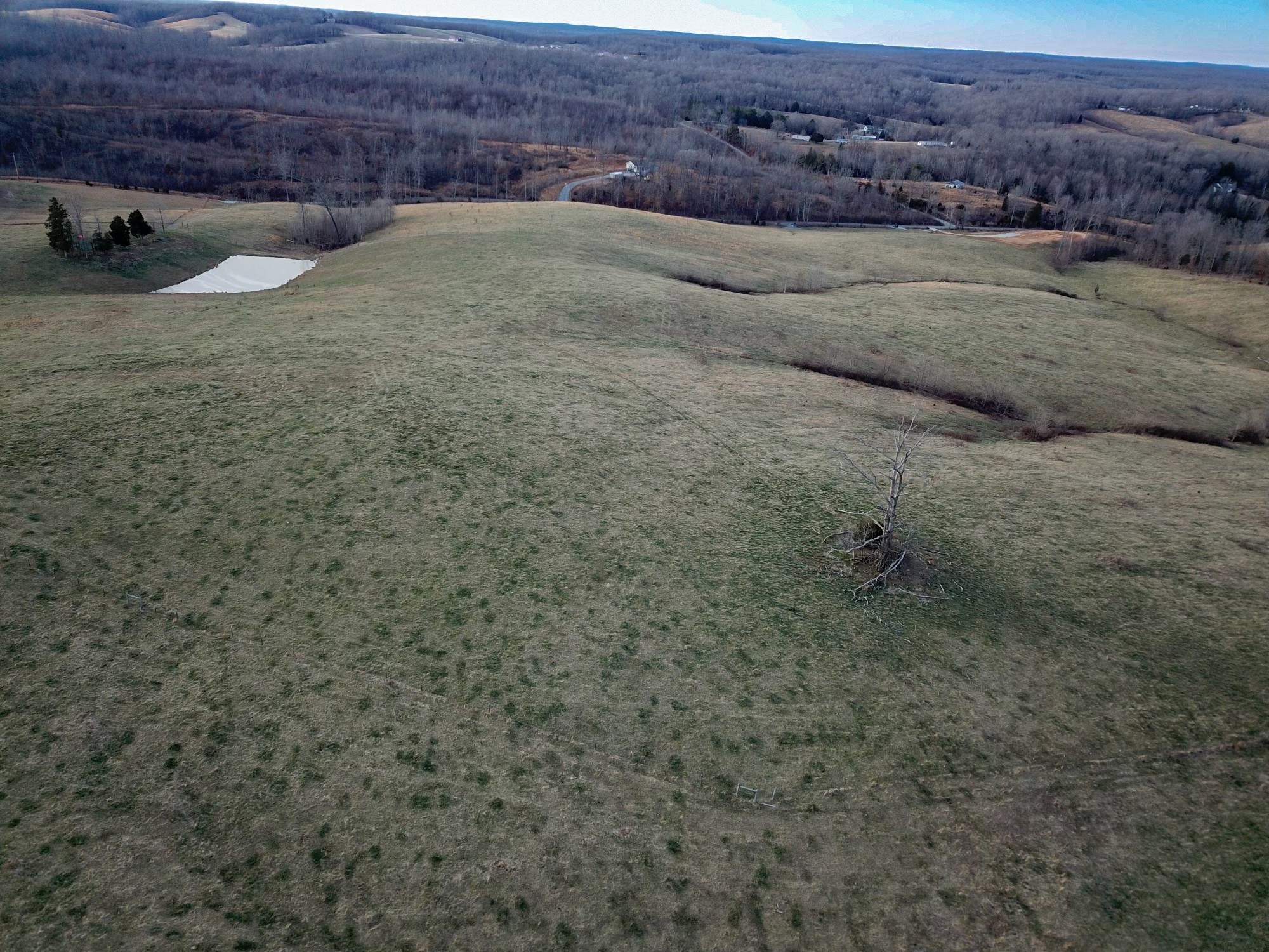 7 Brigham Branch Road Erin, TN 37061 - Photo 19 of 47 a view of outdoor space and yard