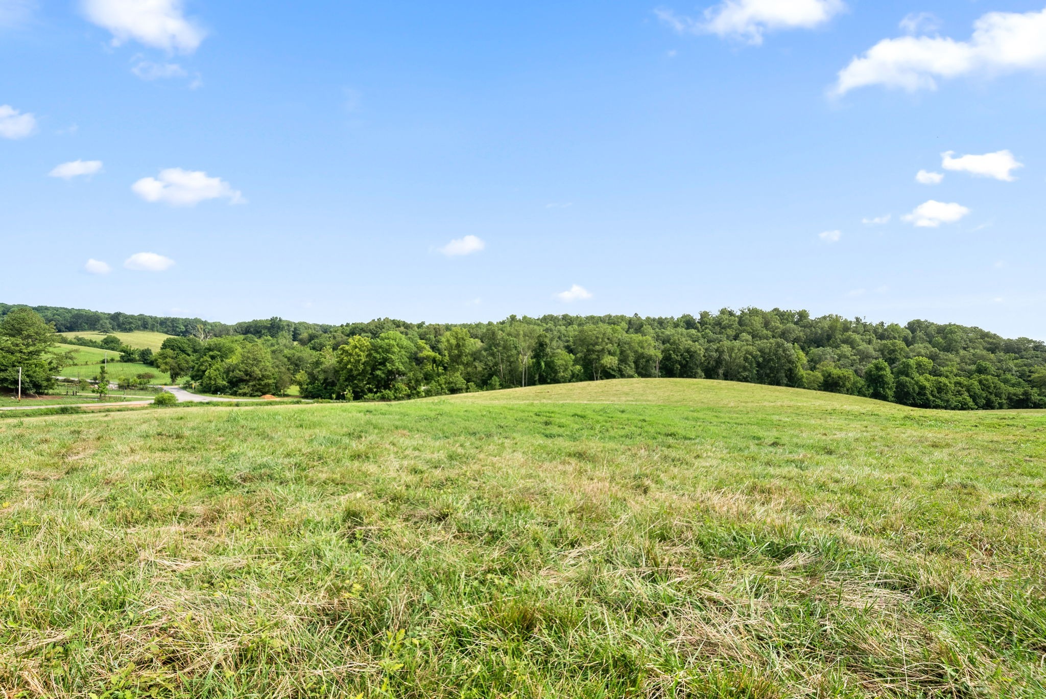 7 Brigham Branch Road Erin, TN 37061 - Photo 31 of 47 a view of an outdoor space and a yard