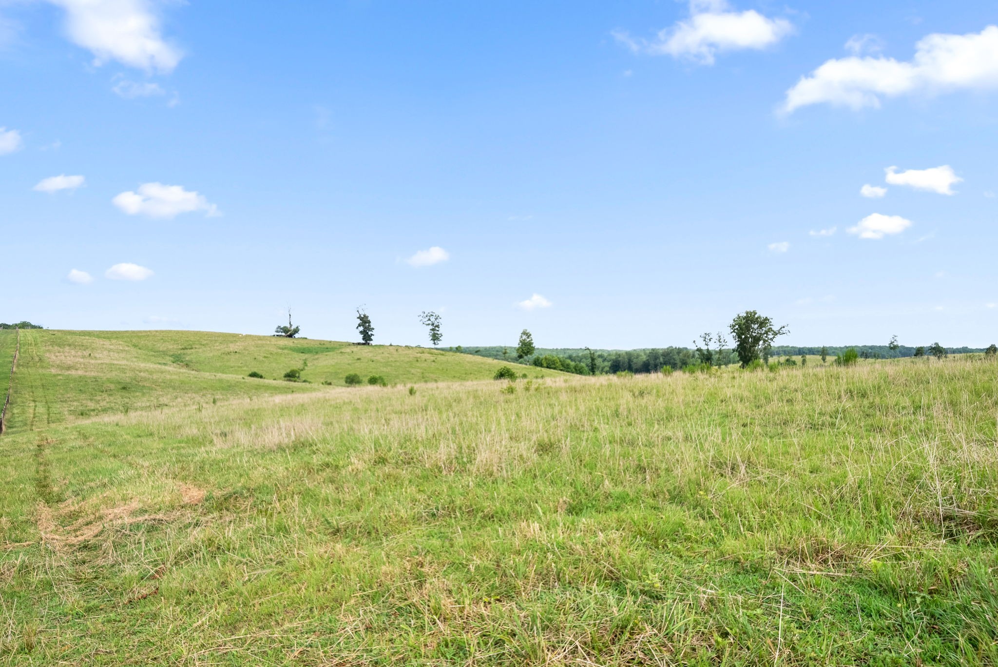 7 Brigham Branch Road Erin, TN 37061 - Photo 32 of 47 a view of an ocean from a big yard