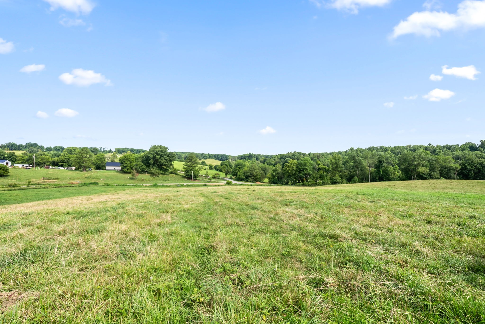 7 Brigham Branch Road Erin, TN 37061 - Photo 35 of 47 a view of a field with an trees