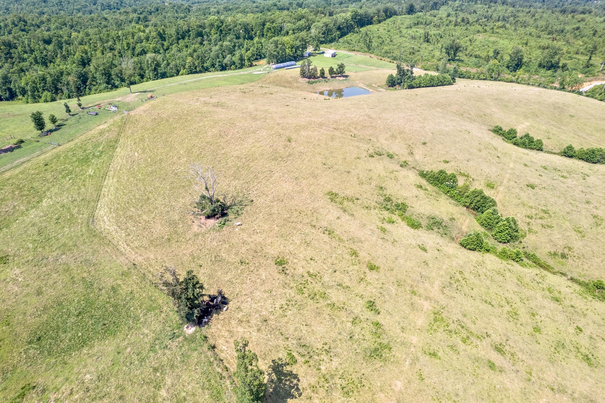 7 Brigham Branch Road Erin, TN 37061 - Photo 39 of 47 a view of a backyard of a house