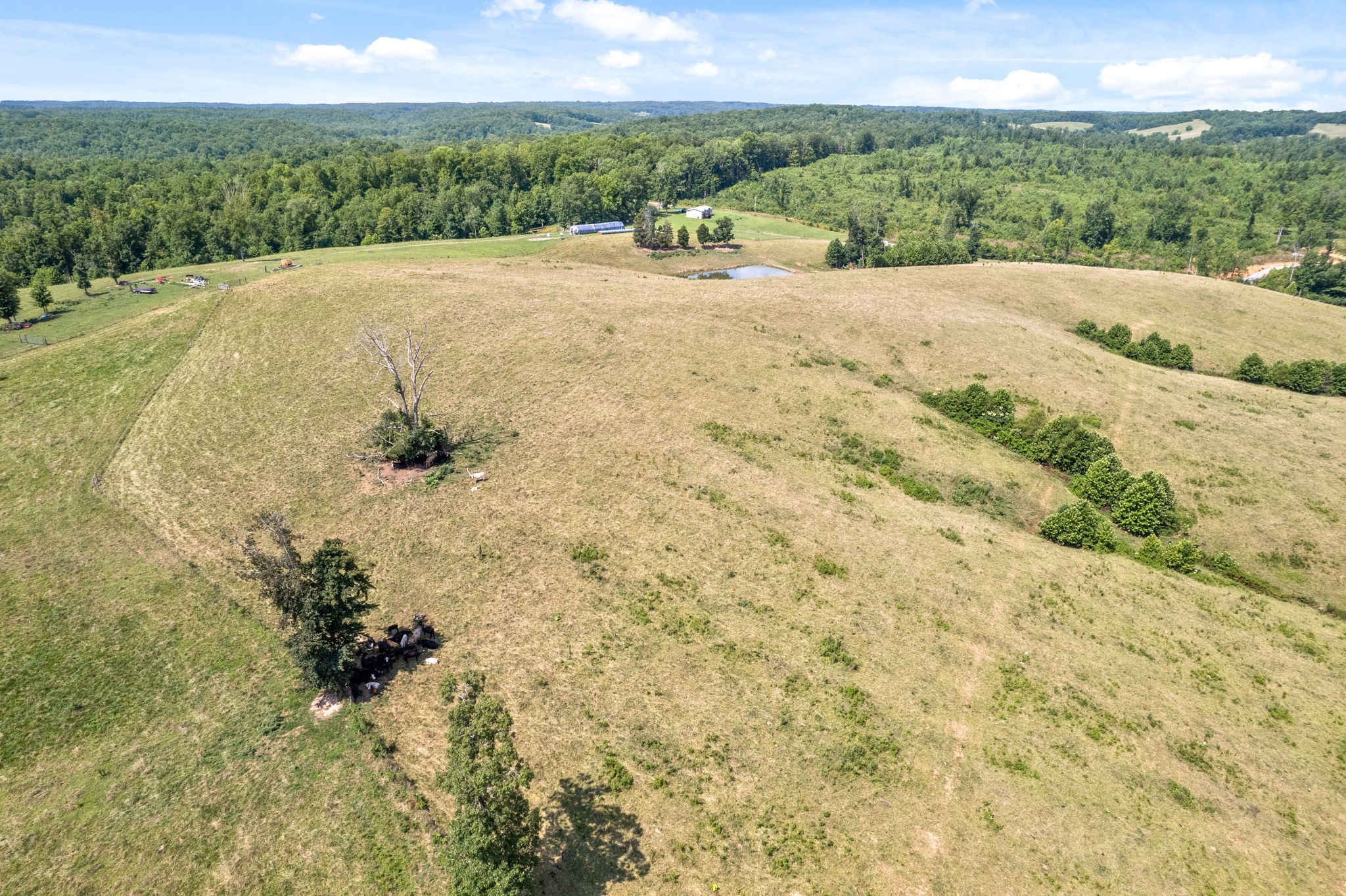 7 Brigham Branch Road Erin, TN 37061 - Photo 45 of 47 a view of swimming pool with mountain view
