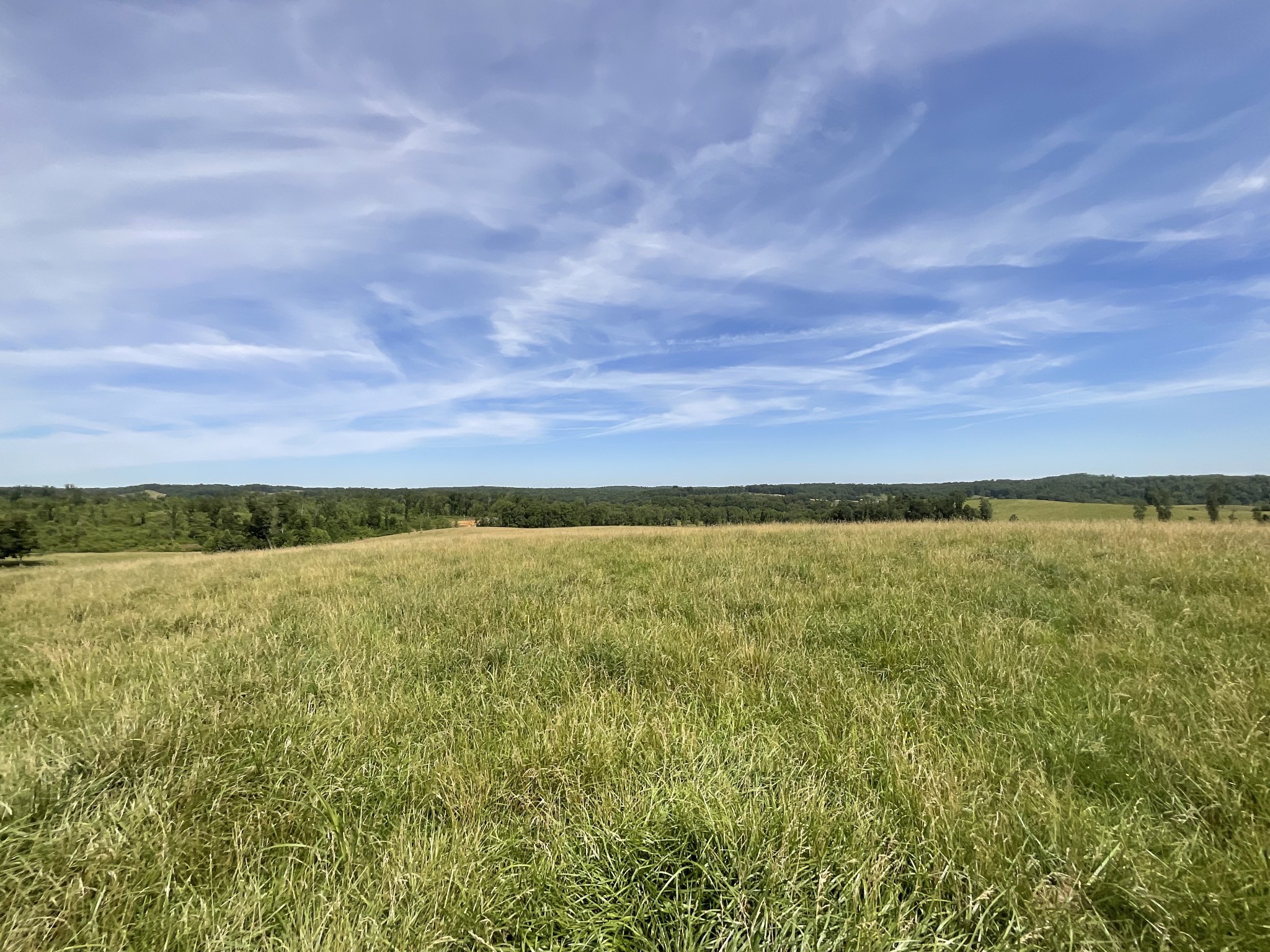 7 Brigham Branch Road Erin, TN 37061 - Photo 6 of 47 a view of an ocean