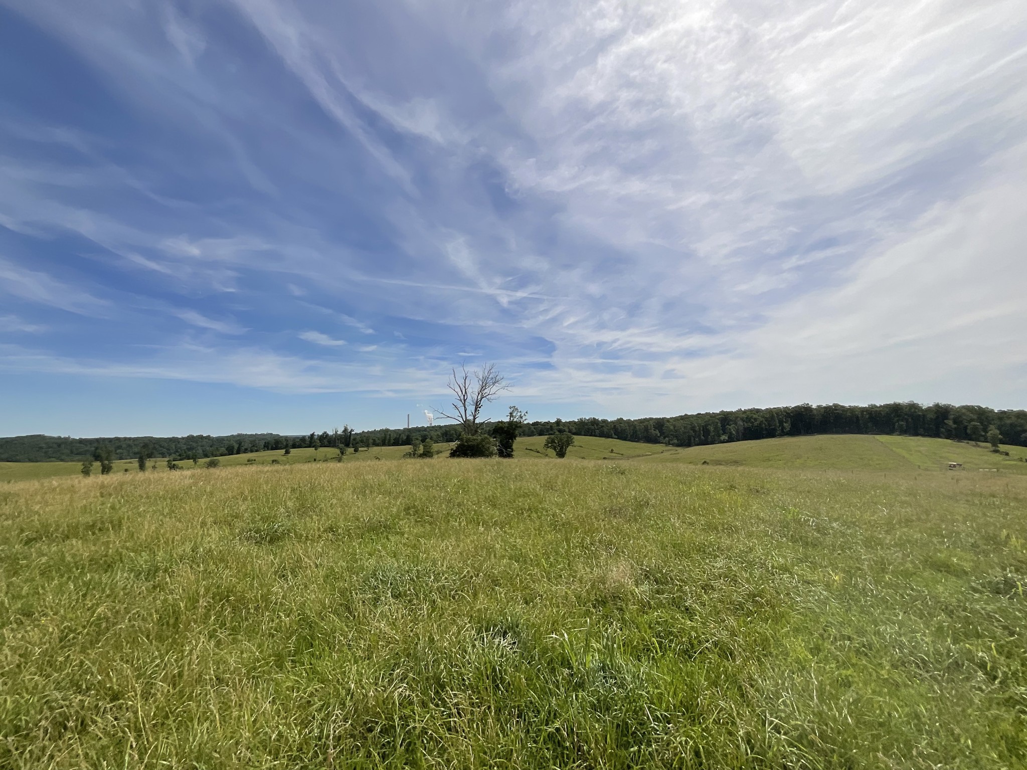 7 Brigham Branch Road Erin, TN 37061 - Photo 10 of 47 a view of an ocean and beach