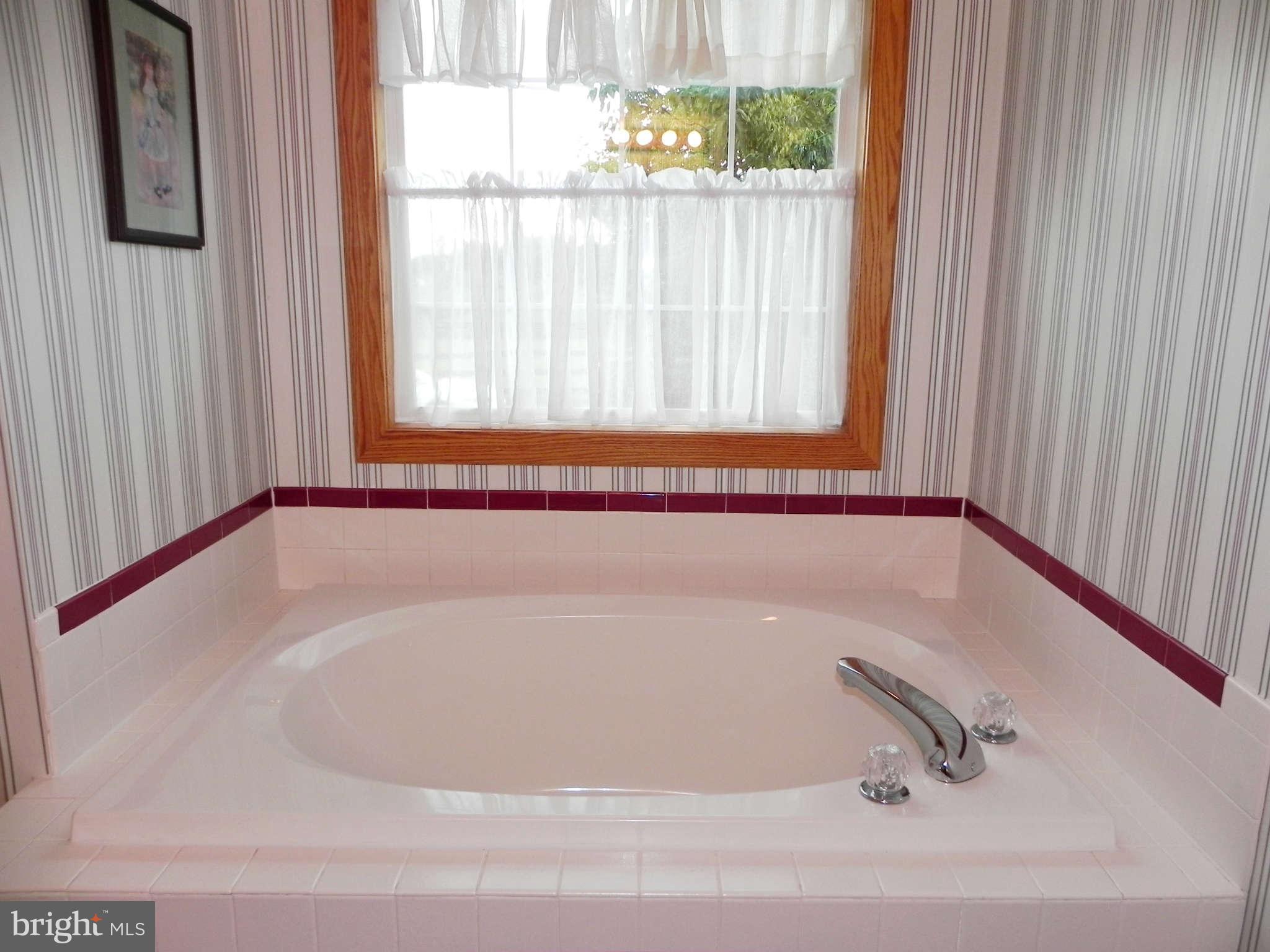 303 Stony Lane Ranson, WV 25438 - Photo 14 of 30 Soaking Tub in Bath (Master)