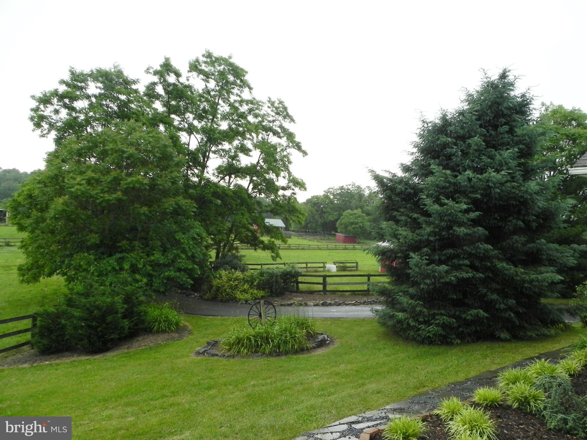 303 Stony Lane Ranson, WV 25438 - Photo 20 of 30 Front Yard