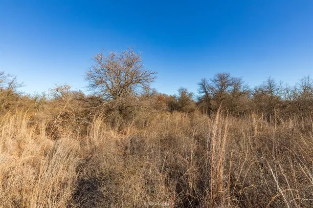 a view of a yard with trees