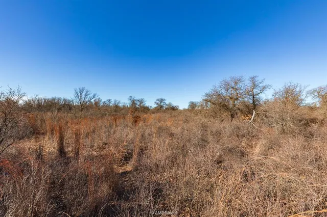 a view of a bunch of trees