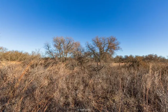 a view of a forest with trees