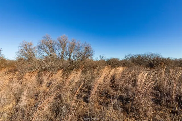a view of city and green space