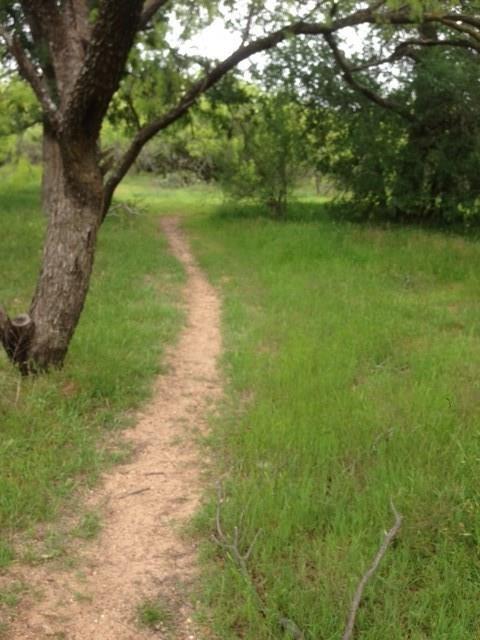a view of a lake with a yard