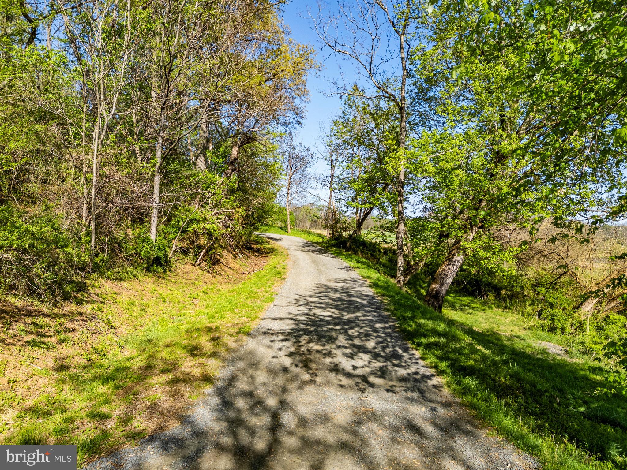19520 Lincoln Road Purcellville, VA 20132 - Photo 3 of 28 Drive into the property