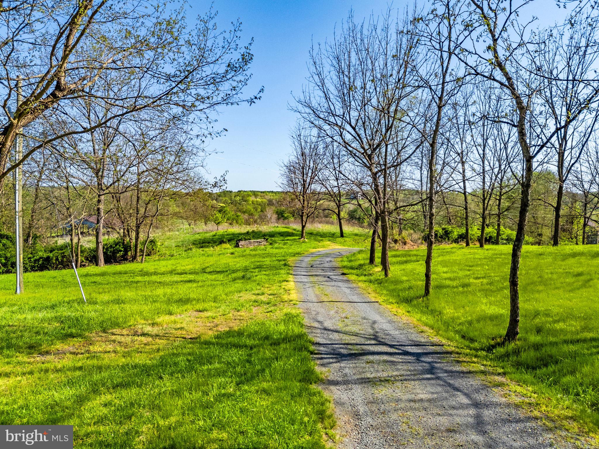 19520 Lincoln Road Purcellville, VA 20132 - Photo 4 of 28