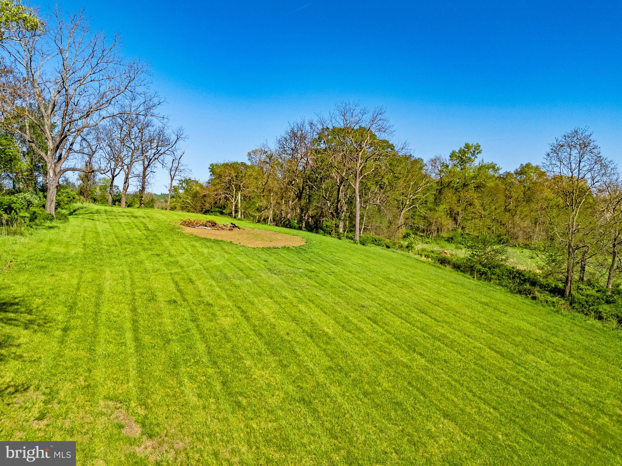 19520 Lincoln Road Purcellville, VA 20132 - Photo 5 of 28 Potential home site
