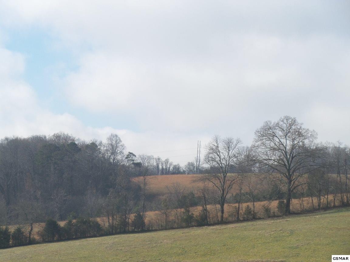 0 Dalton Road New Market, TN 37820 - Photo 16 of 27 Gallery Image 16