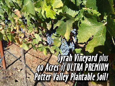 10351 Potter Valley Road Ukiah, CA 95482 - Photo 3 of 7