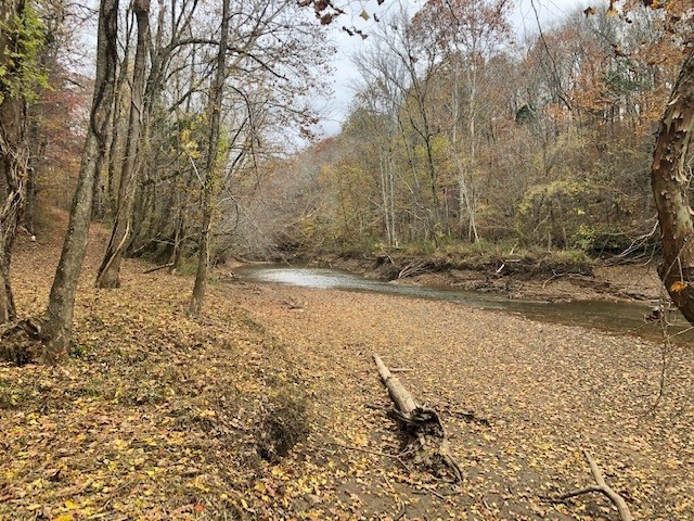 351 Rocky River Road Rock Island, TN 38581 - Photo 11 of 24 a view of a yard with trees
