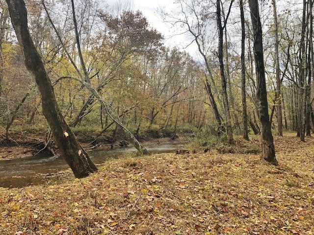 351 Rocky River Road Rock Island, TN 38581 - Photo 12 of 24 a view of a yard with trees