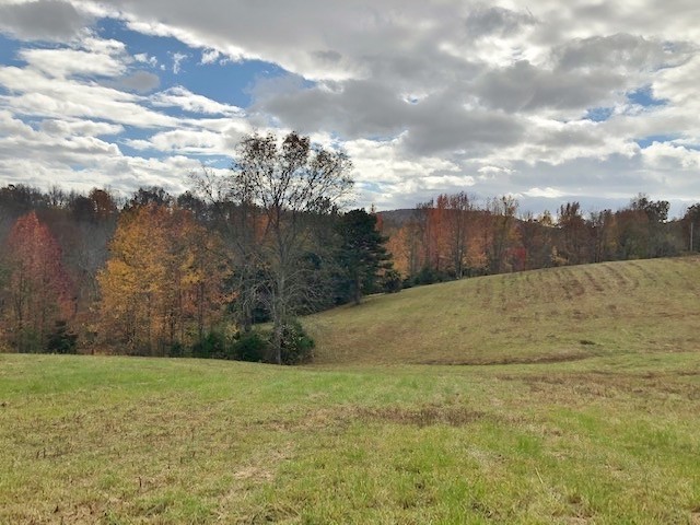 351 Rocky River Road Rock Island, TN 38581 - Photo 13 of 24 a view of swimming pool and mountain