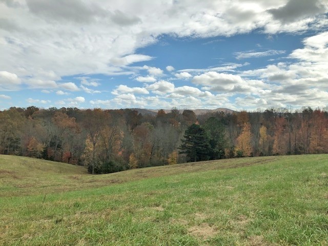 351 Rocky River Road Rock Island, TN 38581 - Photo 14 of 24 a view of a yard with an outdoor seating