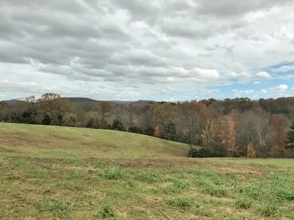a view of a yard with an trees
