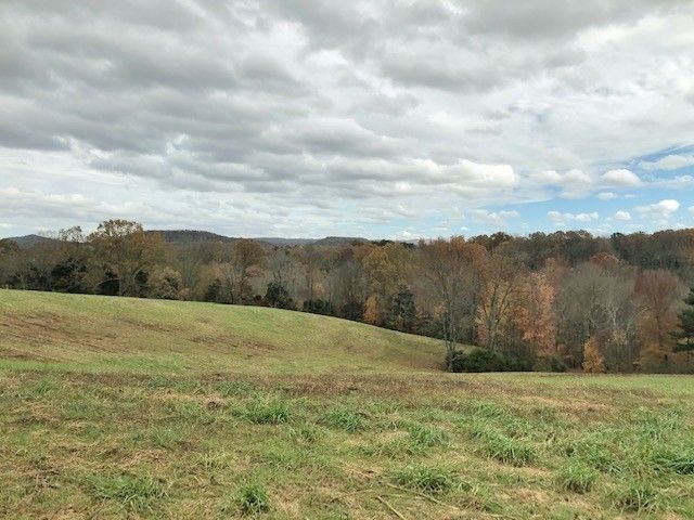 a view of a yard with an trees