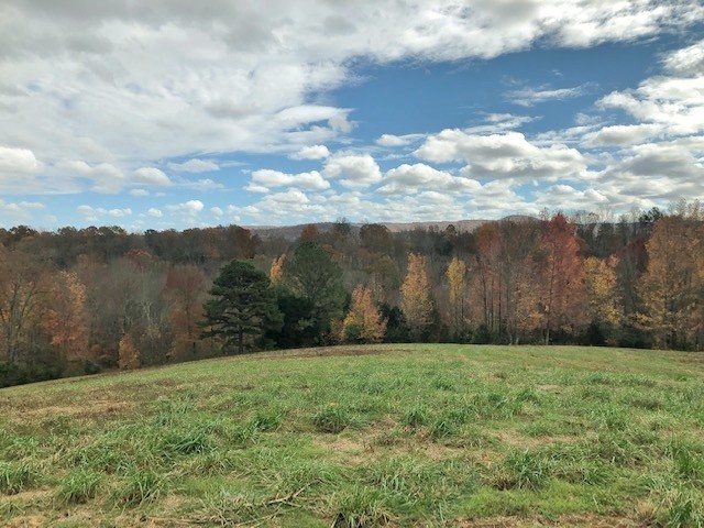 351 Rocky River Road Rock Island, TN 38581 - Photo 17 of 24 a view of a yard with an trees