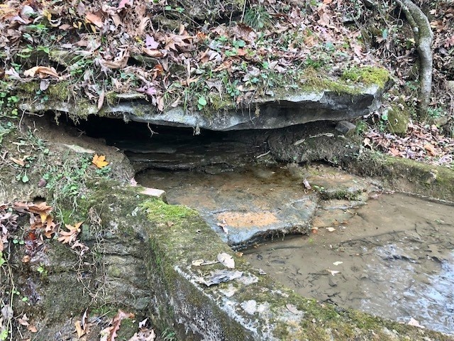 351 Rocky River Road Rock Island, TN 38581 - Photo 20 of 24