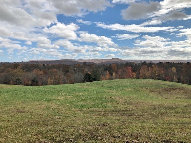 351 Rocky River Road Rock Island, TN 38581 - Photo 2 of 24 a view of a yard