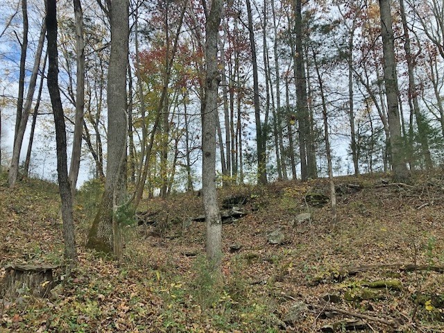 351 Rocky River Road Rock Island, TN 38581 - Photo 22 of 24 a view of a forest filled with trees