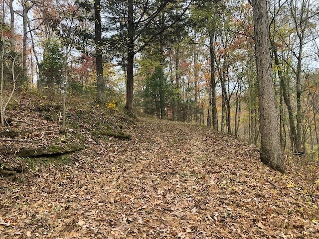 351 Rocky River Road Rock Island, TN 38581 - Photo 23 of 24 a view of a forest with trees