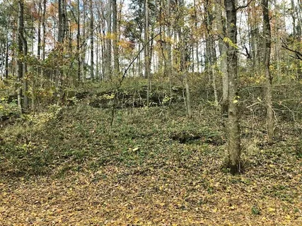 $799,900 | 351 Rocky River Road, Rock Island, TN 38581