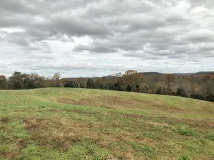 a view of an outdoor space and a yard