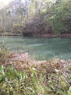 a view of a lake with a tree