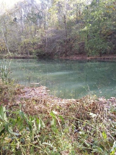 351 Rocky River Road Rock Island, TN 38581 - Photo 5 of 24 a view of a lake from a yard