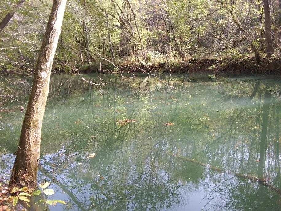 351 Rocky River Road Rock Island, TN 38581 - Photo 6 of 24