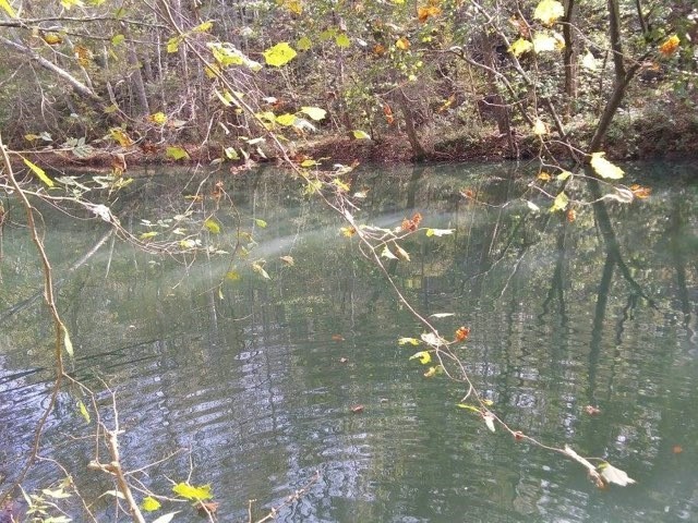 351 Rocky River Road Rock Island, TN 38581 - Photo 8 of 24 a backyard of a house
