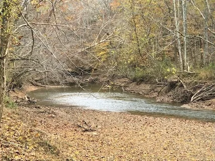 a view of a yard with trees