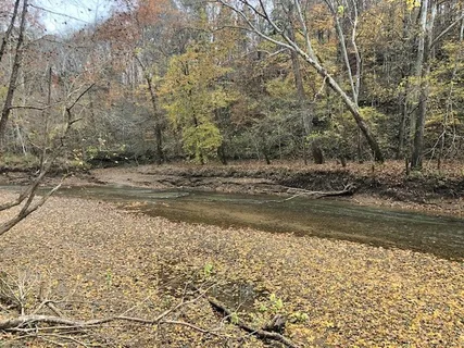 a view of a yard with trees