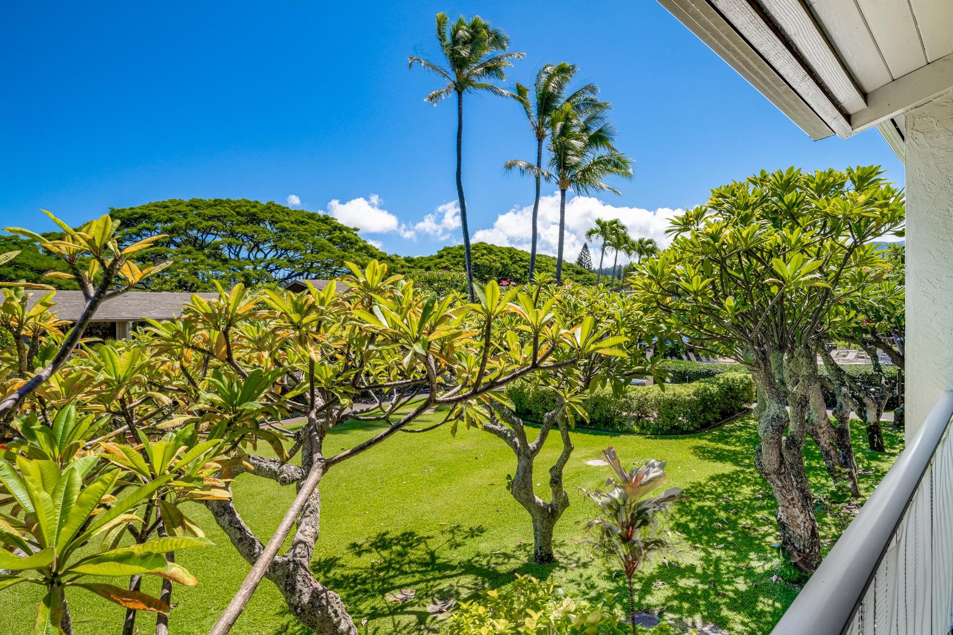 5315 Lower Honoapiilani Road, Unit F249 Lahaina, HI 96761 - Photo 12 of 33 a view of a garden