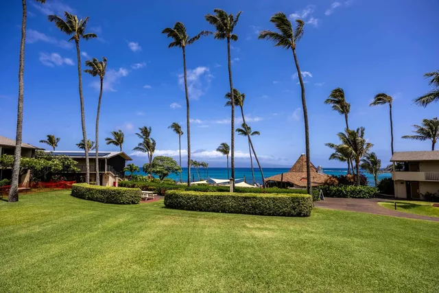 a view of a house with a backyard and plants