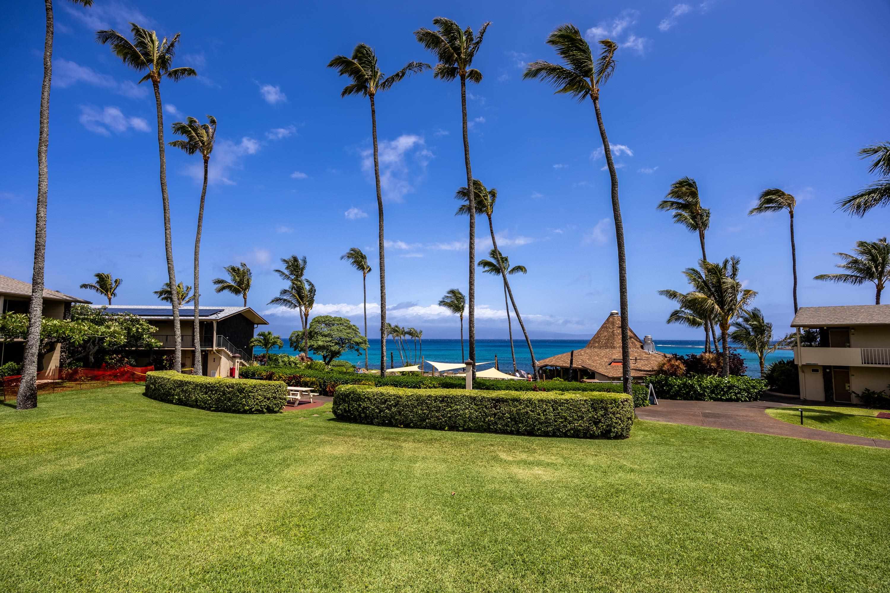 5315 Lower Honoapiilani Road, Unit F249 Lahaina, HI 96761 - Photo 28 of 33 a view of a house with a backyard and plants